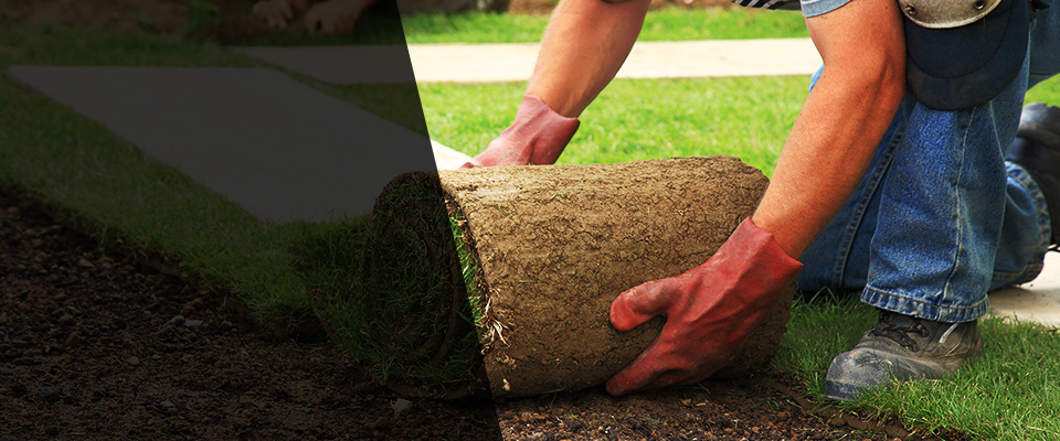 Grayslake Landscapers